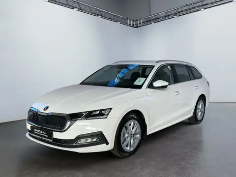 Annonce SKODA OCTAVIA Diesel 2024 d'occasion 