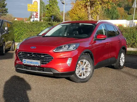 Used FORD KUGA Hybrid 2021 Ad 