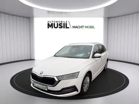 Annonce SKODA OCTAVIA Diesel 2020 d'occasion 