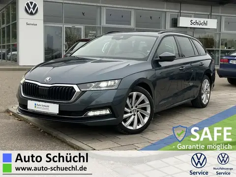 Annonce SKODA OCTAVIA Diesel 2020 d'occasion 