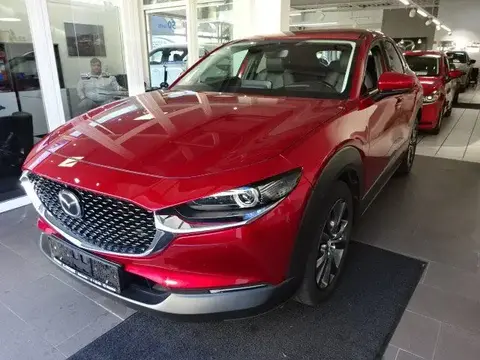 Annonce MAZDA CX-30 Hybride 2021 d'occasion 