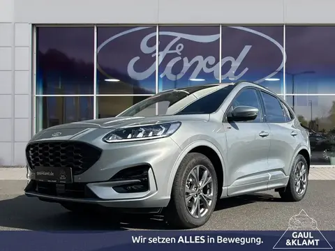 Used FORD KUGA Petrol 2023 Ad 