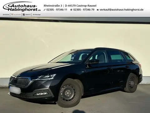 Used SKODA OCTAVIA Petrol 2021 Ad 