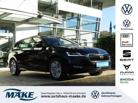 Annonce SKODA OCTAVIA Diesel 2024 d'occasion 