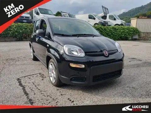 Used FIAT PANDA Hybrid 2024 Ad 