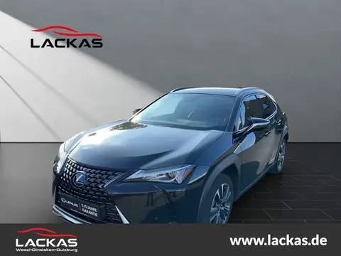 Used LEXUS UX Hybrid 2021 Ad 