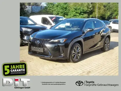 Annonce LEXUS UX Hybride 2024 d'occasion 