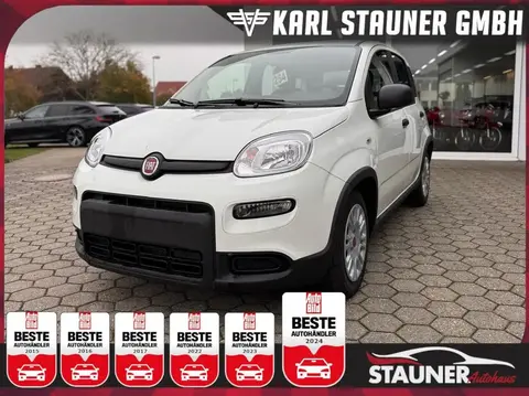 Annonce FIAT PANDA Essence 2024 d'occasion 