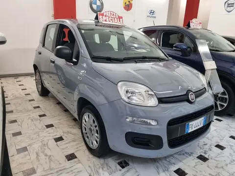 Annonce FIAT PANDA Essence 2017 d'occasion 