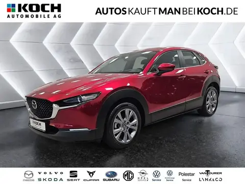 Used MAZDA CX-30 Petrol 2023 Ad 