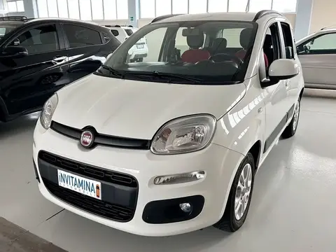 Annonce FIAT PANDA GPL 2020 d'occasion 