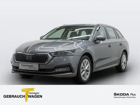 Annonce SKODA OCTAVIA Essence 2024 d'occasion 