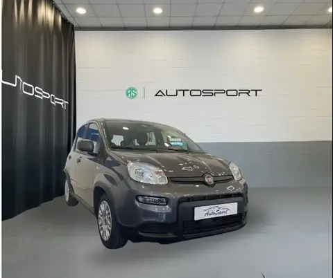 Used FIAT PANDA Hybrid 2023 Ad 