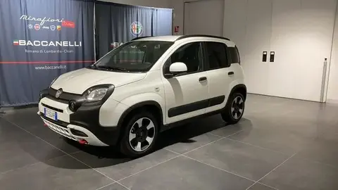 Used FIAT PANDA Hybrid 2024 Ad 