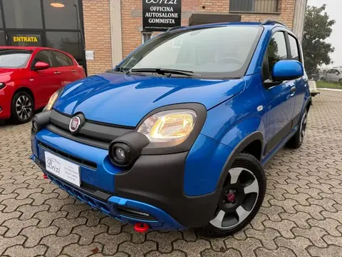 Annonce FIAT PANDA Hybride 2024 d'occasion 