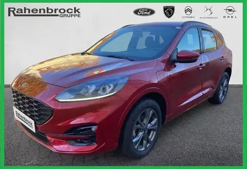 Used FORD KUGA Hybrid 2021 Ad 