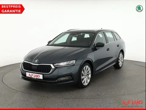 Used SKODA OCTAVIA Diesel 2020 Ad 