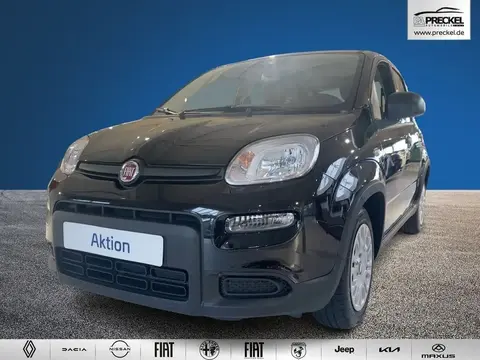 Used FIAT PANDA Petrol 2024 Ad 