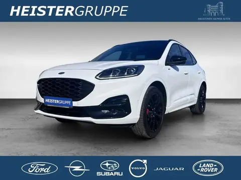 Annonce FORD KUGA Diesel 2024 d'occasion 