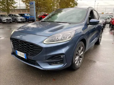 Annonce FORD KUGA Hybride 2021 d'occasion 