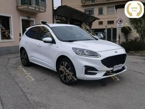 Used FORD KUGA Petrol 2020 Ad 