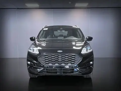 Annonce FORD KUGA Hybride 2022 d'occasion 