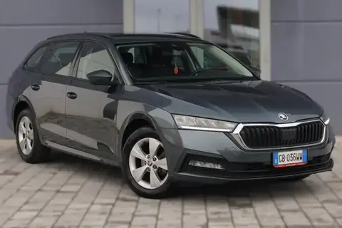 Used SKODA OCTAVIA Diesel 2020 Ad 