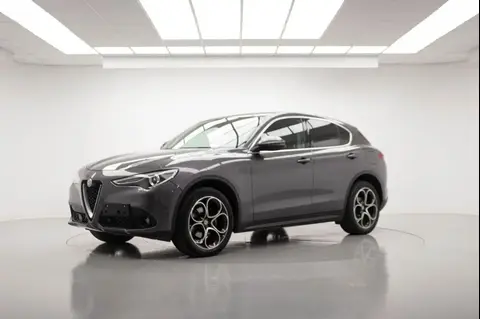 Used ALFA ROMEO STELVIO Diesel 2019 Ad 