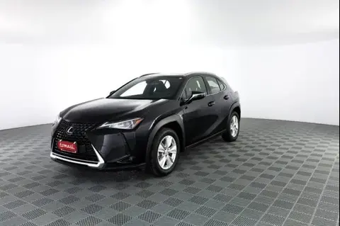 Used LEXUS UX Hybrid 2021 Ad 