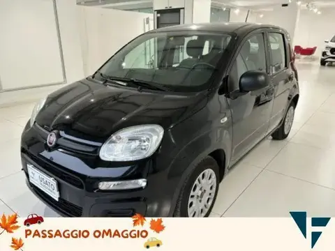 Annonce FIAT PANDA Hybride 2021 d'occasion 