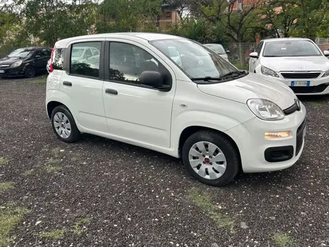 Annonce FIAT PANDA Essence 2019 d'occasion 