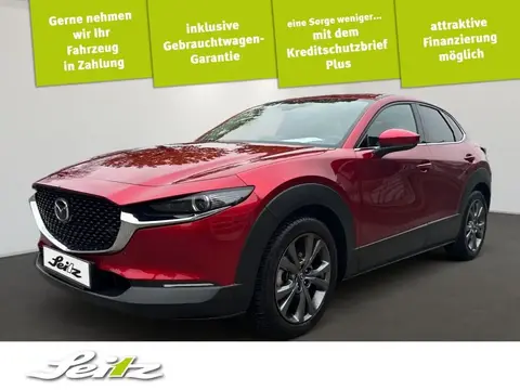 Annonce MAZDA CX-30 Essence 2020 d'occasion Allemagne