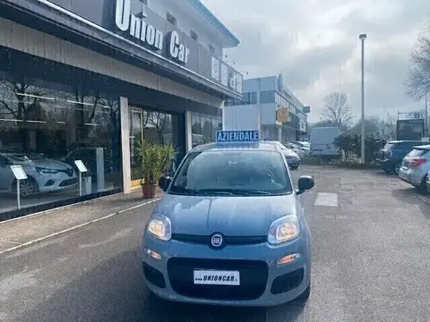 Used FIAT PANDA Hybrid 2022 Ad 