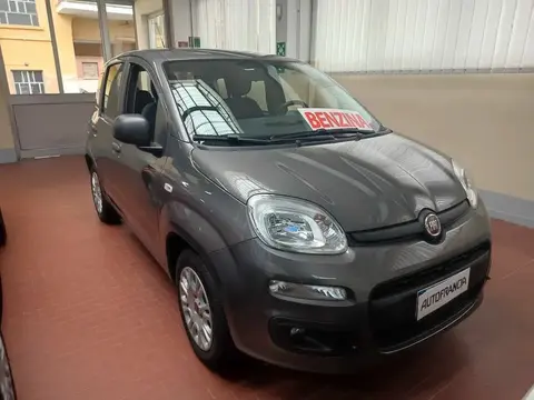 Annonce FIAT PANDA Essence 2019 d'occasion 