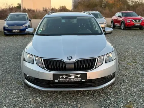 Annonce SKODA OCTAVIA Diesel 2019 d'occasion 