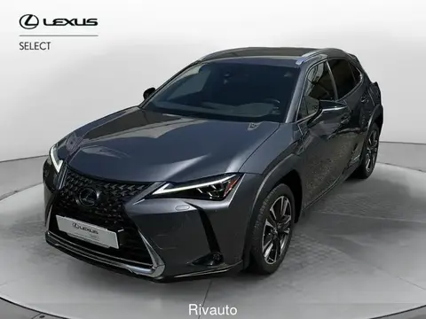 Used LEXUS UX Hybrid 2019 Ad 