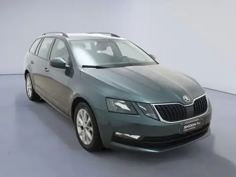 Used SKODA OCTAVIA Diesel 2019 Ad 