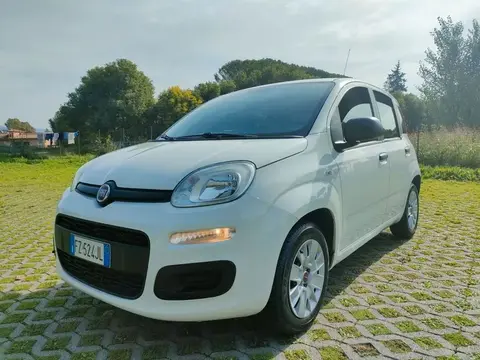 Annonce FIAT PANDA Essence 2019 d'occasion 