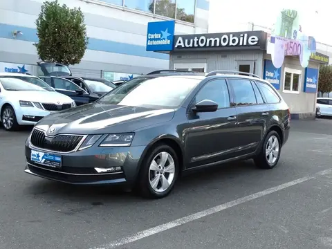 Annonce SKODA OCTAVIA Diesel 2019 d'occasion 