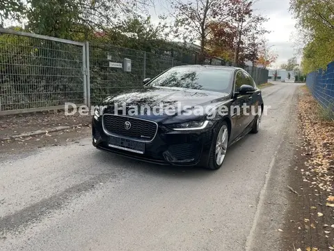 Used JAGUAR XE Diesel 2021 Ad 