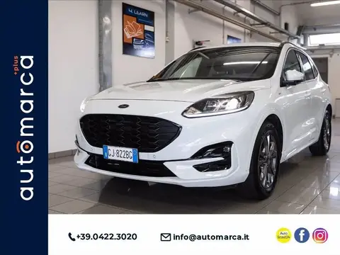 Used FORD KUGA Hybrid 2022 Ad 