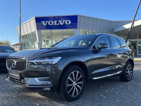 Annonce VOLVO XC60 Diesel 2019 d'occasion 