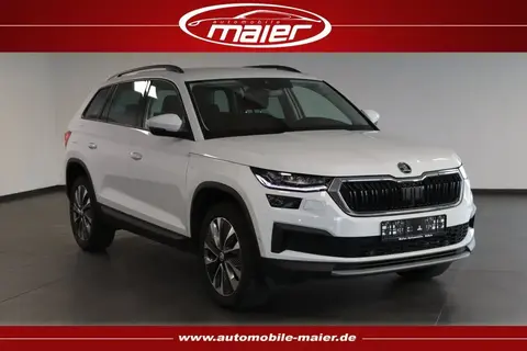 Used SKODA KODIAQ Petrol 2023 Ad 