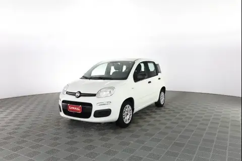 Annonce FIAT PANDA Essence 2020 d'occasion 