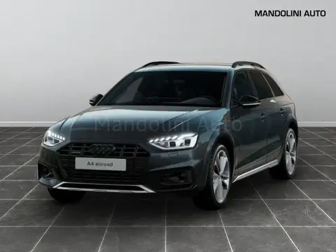 Annonce AUDI A4  2023 d'occasion 