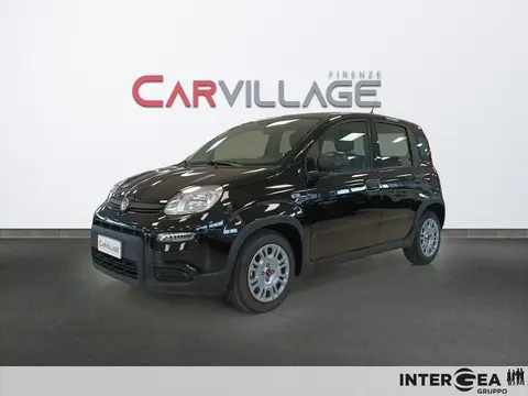 Used FIAT PANDA Hybrid 2024 Ad 