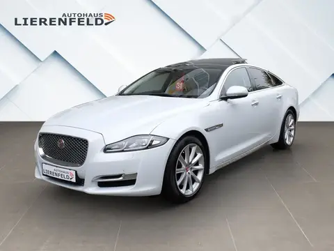 Used JAGUAR XJ Diesel 2016 Ad 