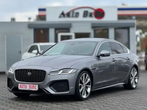 Annonce JAGUAR XF Diesel 2021 d'occasion 