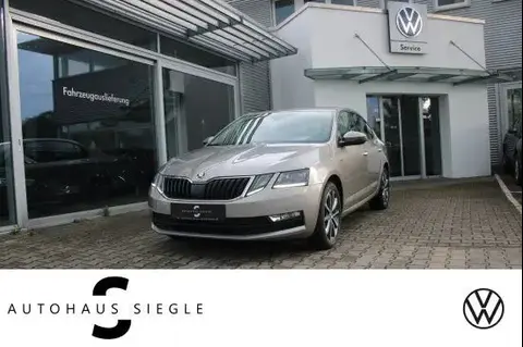 Annonce SKODA OCTAVIA Essence 2019 d'occasion 