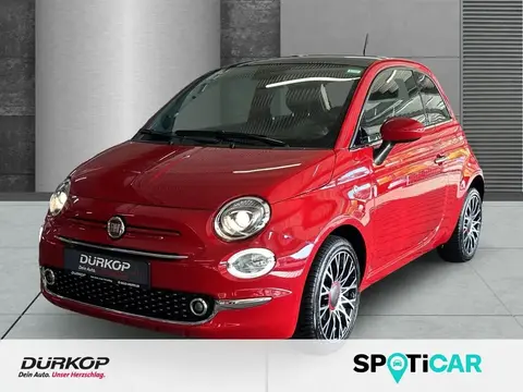 Used FIAT 500 Petrol 2023 Ad 